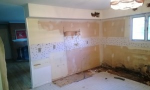 Preparing for a Kitchen Renovation