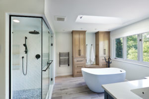 Types of Shower Doors, Door Designs, and Maintenance 